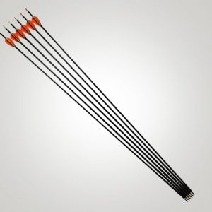 Archery Cane Arrows 6 Arrow