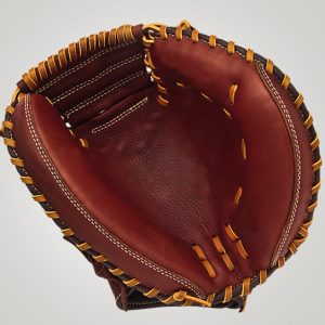 Baseball Catcher's Mitt