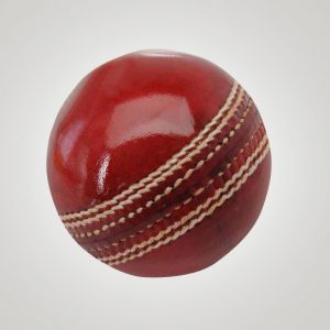 Cricket Leather Ball