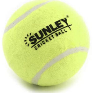 Sunley cricket ball