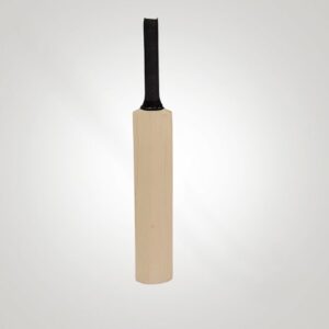 Generic Cricket Bat